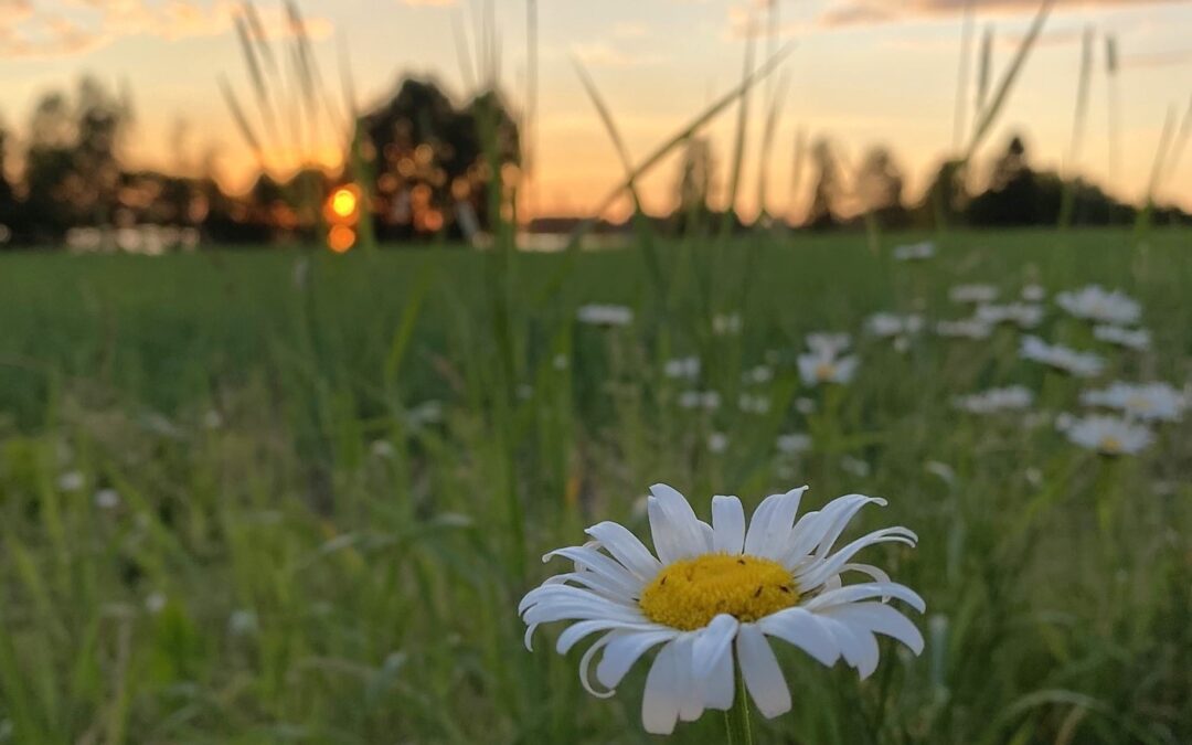 Suomi.fi-tunnistuksen varmenteiden vaihtaminen